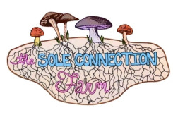 Sole Connection Logo